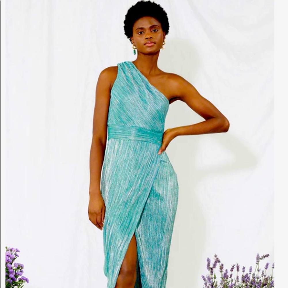 NWT Saylor dress